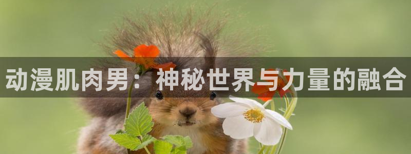 东京复仇者第一季樱花动漫：动漫肌肉男：神秘世界与力量的融合