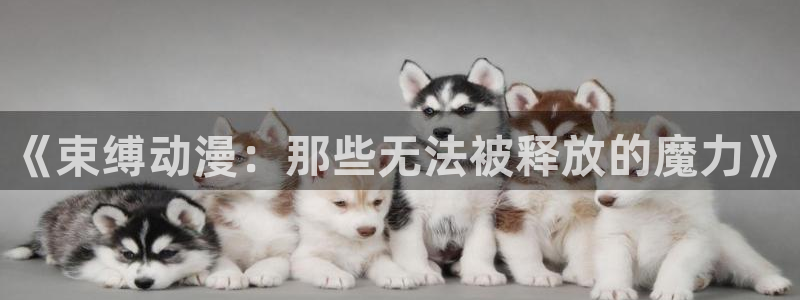樱花动漫官网门户网站