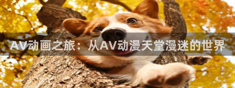 樱花动漫网_樱花好看的动漫_新樱花动漫网站