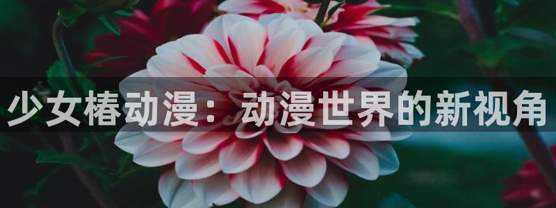 银魂动漫樱花动漫观看