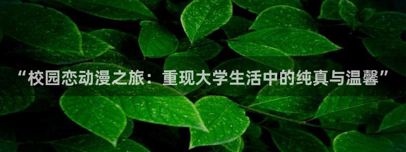 拾忆长安明月几时有第一季樱花动漫