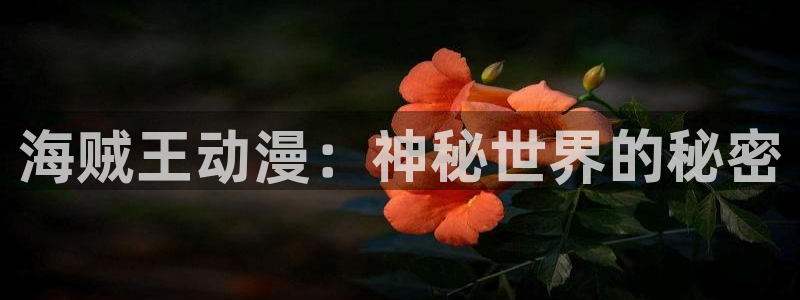 为我而生动漫樱花动漫