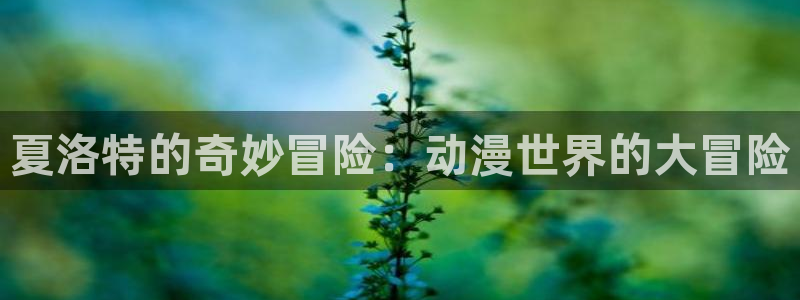 樱花动漫 免费观看