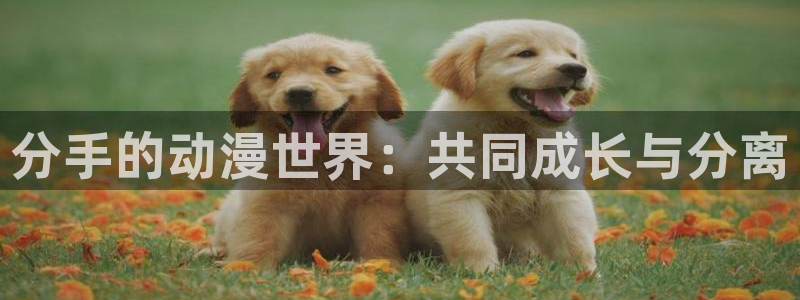 甜心战士樱花动漫