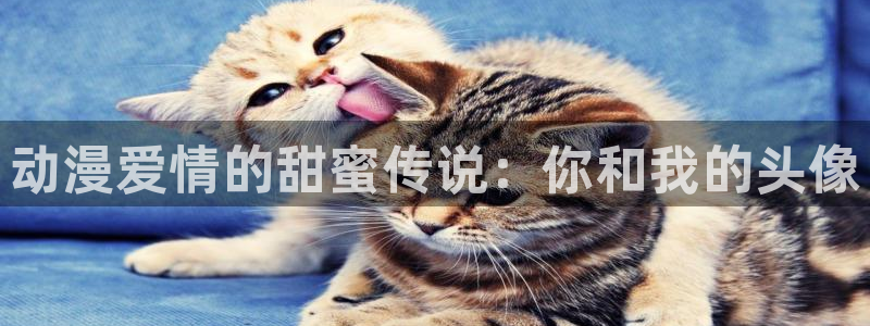 樱花动漫视频免费观看
