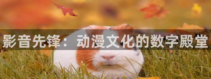 樱花动漫一区