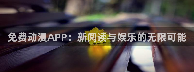 樱花动漫安装
