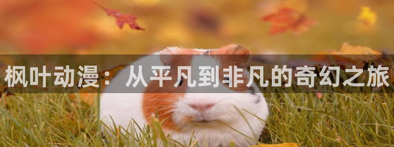 天降女子樱花动漫免费完整