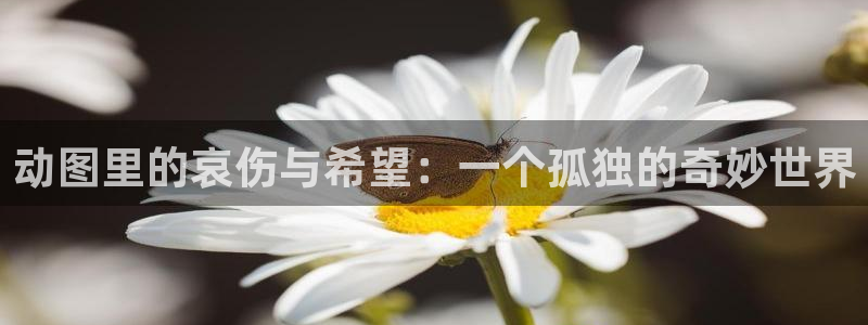 格林笔记樱花动漫免费观看