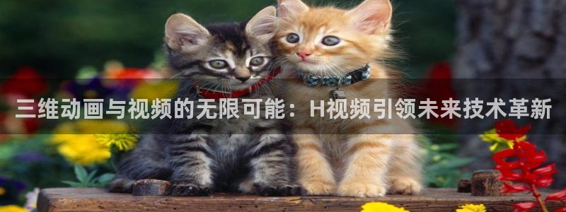 网页版樱花动漫
