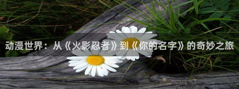 韩漫樱花动漫