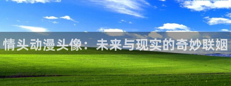 樱花动漫网站入口