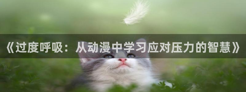 一念永恒第36集樱花动漫