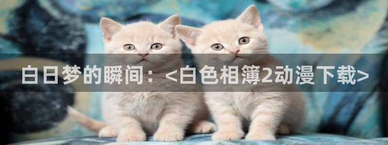 刀剑乱舞活击樱花动漫