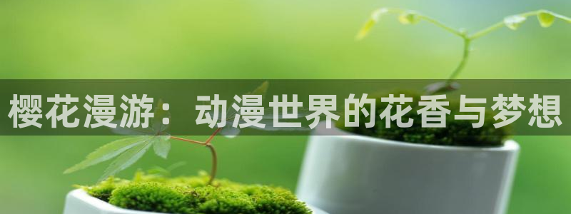 overflow第一季翻译动漫樱花动漫：樱花漫游：动漫世界的花香与梦想