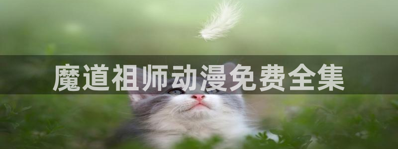 樱花动漫14：魔道祖师动漫免费全集