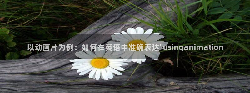 母性本能樱花动漫：以动画片为例：如何在英语中准确表达\