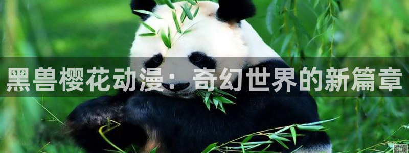 一念永恒樱花动漫观看：黑兽樱花动漫：奇幻世界的新篇章
