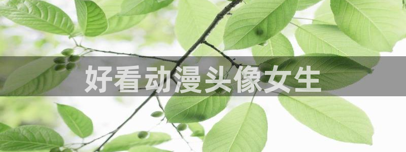 樱花动漫小电视