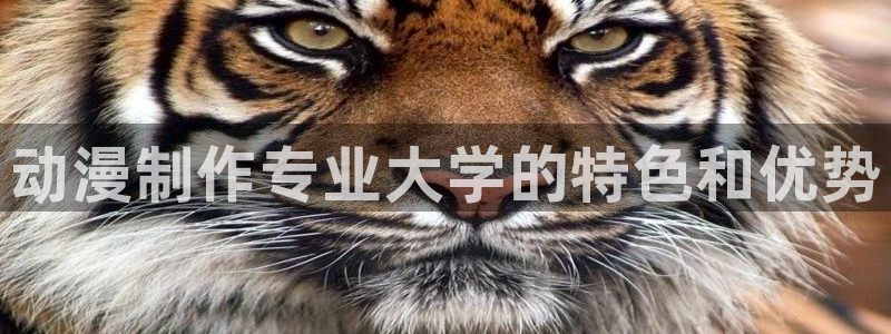 樱花动漫在线下：动漫制作专业大学的特色和优势