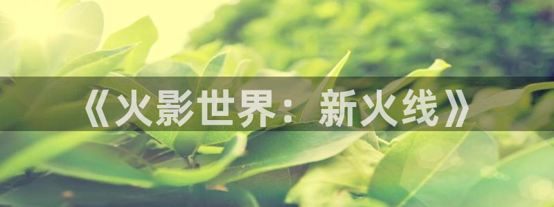 光与影的传说动漫在线观看樱花动漫：《火影世界：新火线》