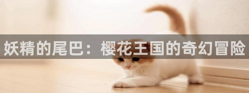 晚安为我而眠的妹妹完整版樱花动漫：妖精的尾巴：樱花王国的奇幻冒险