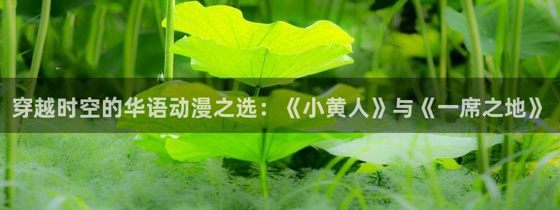 樱花动漫视频高清观看：穿越时空的华语动漫之选：《小黄人》与《一席之地》